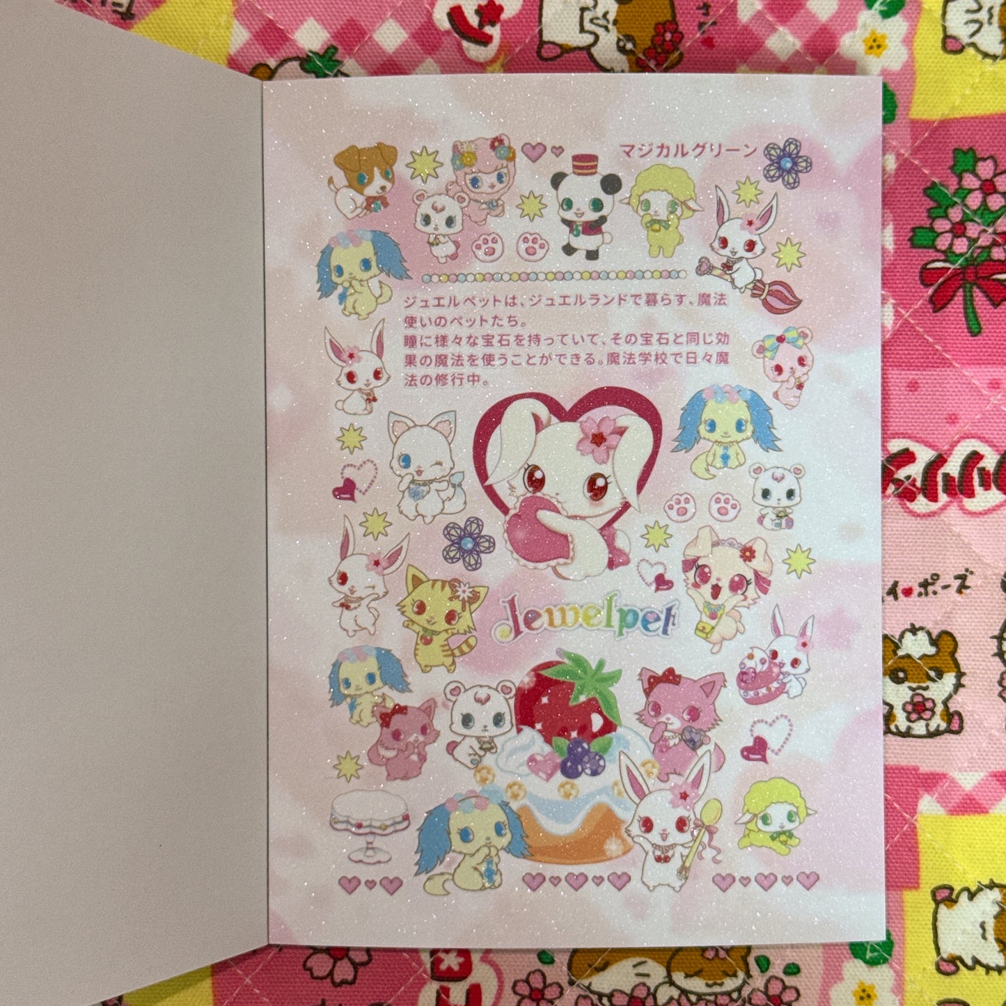 Sticker Book ♡ 37 pages