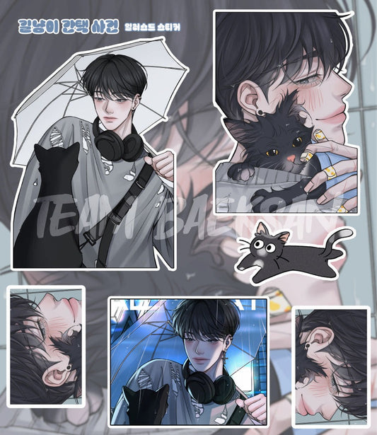 baeksan - street cat sticker sheet